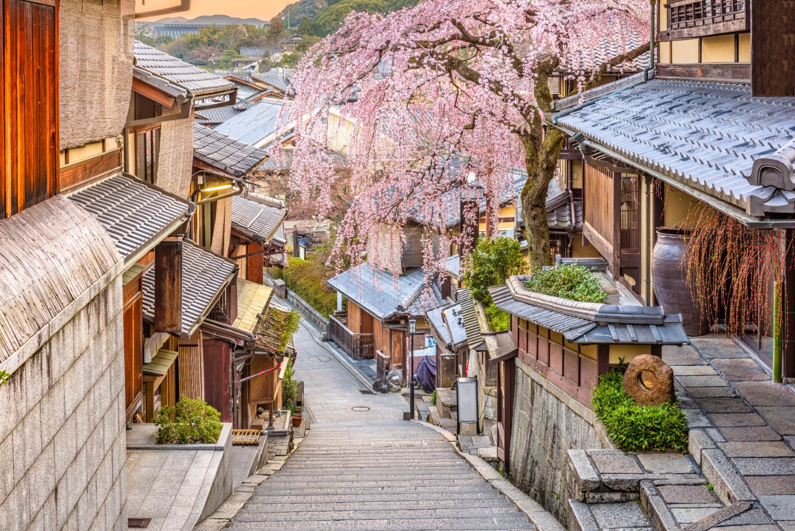 La Guida ai viaggi in Giappone - Melaspasso Viaggi